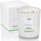 Pear Blossom Large Candle