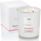Peony Blush Large Candle