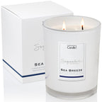 Sea Breeze Large Candle