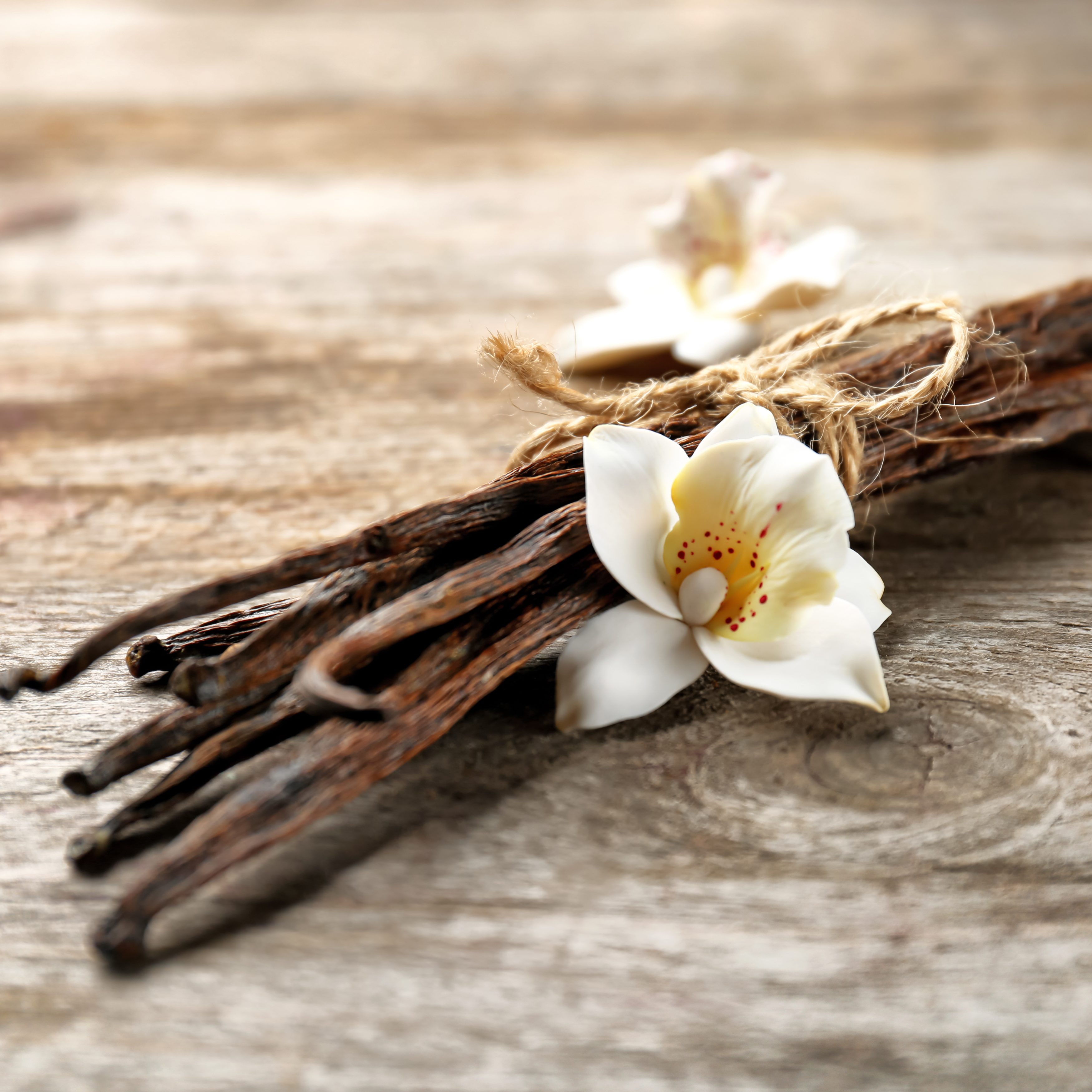 Oriental Vanilla Large Candle