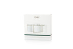Green Fig Mini Diffuser Gift Set
