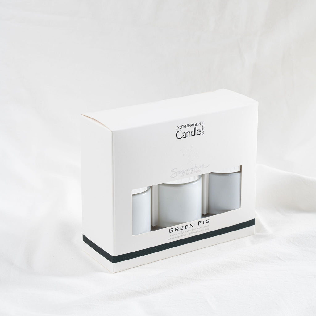 Green Fig Mini Diffuser Gift Set