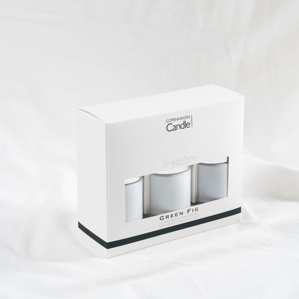 Green Fig Mini Diffuser Gift Set